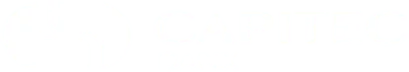 capitec.png