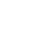 Holder Vector
